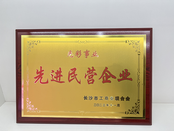 頂立科技被市工商聯授予“光彩事業先進民營企業”稱號 (2).jpg
