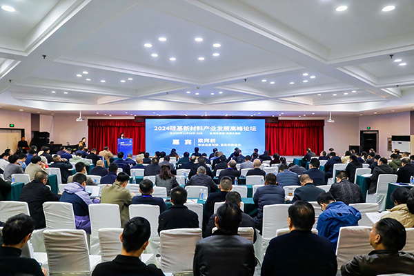 頂立科技參加硅基新材料高峰論壇，分享高純石英制備熱工裝備最新技術 (2).jpg