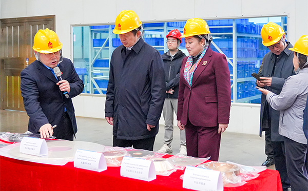 民革中央副主席谷振春一行蒞臨頂立科技調研 (4).jpg